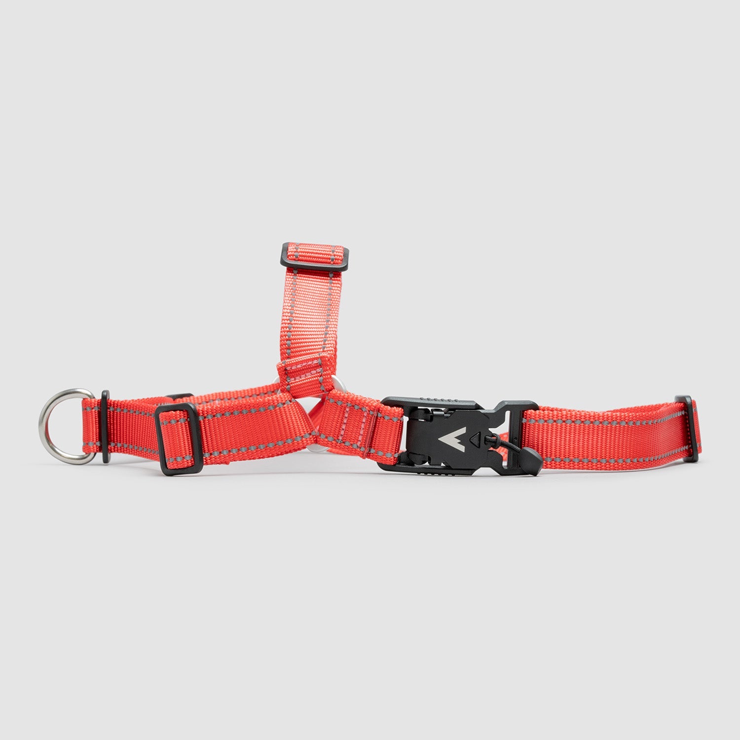 Lifetime Harness