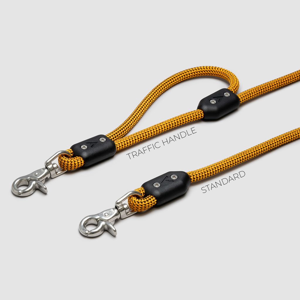 Lifetime Leash - 5 Feet (Kit)