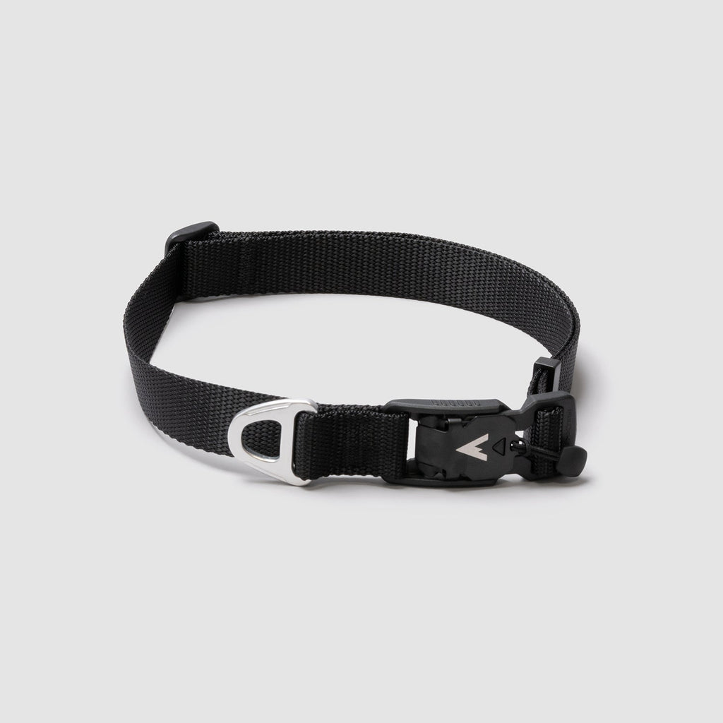 Lifetime Lite Collar