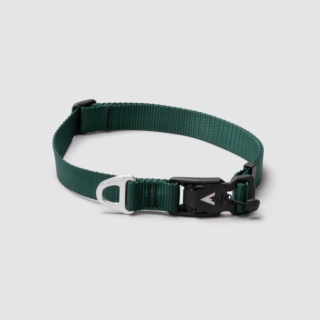 Lifetime Lite Collar