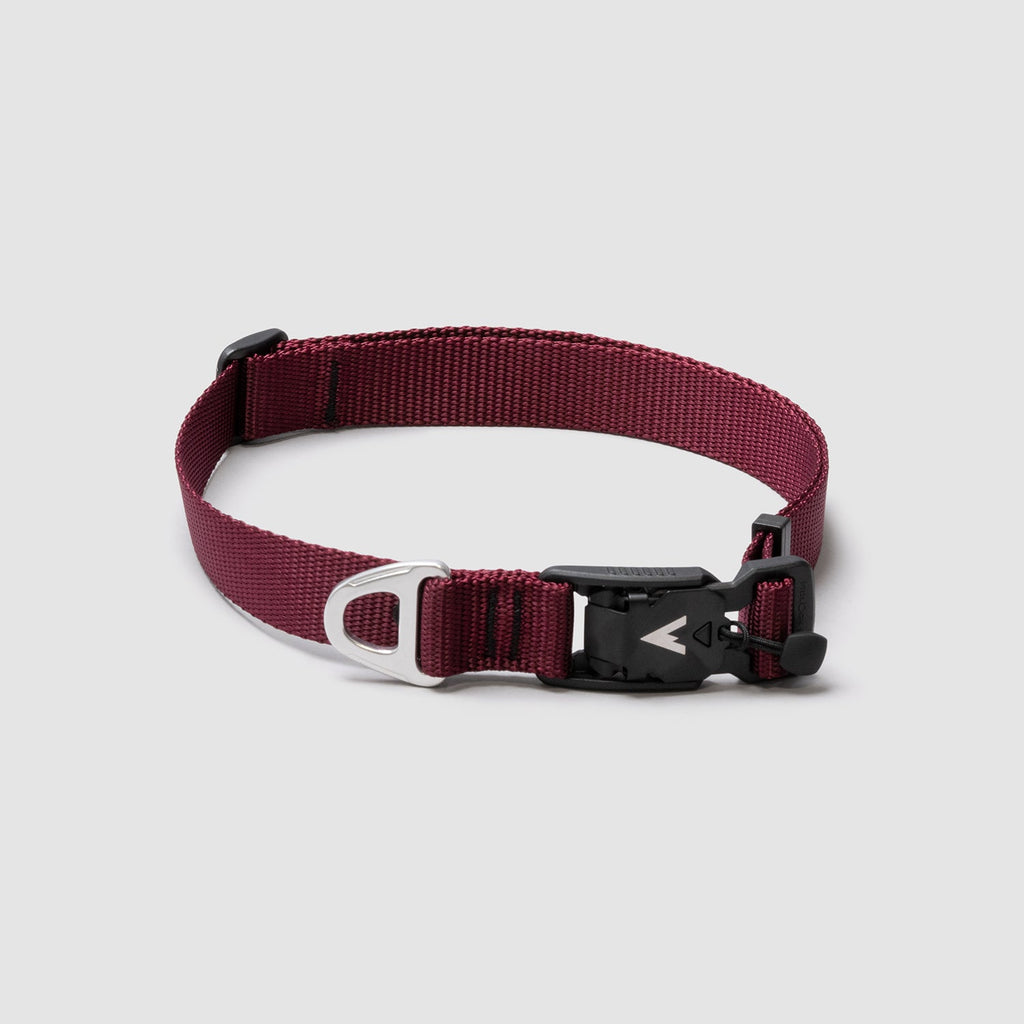 Lifetime Lite Collar
