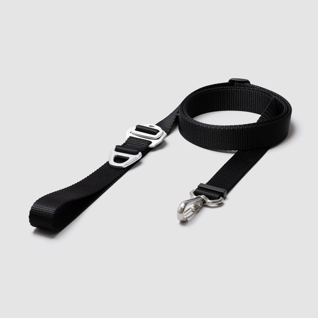 Lifetime Lite Leash