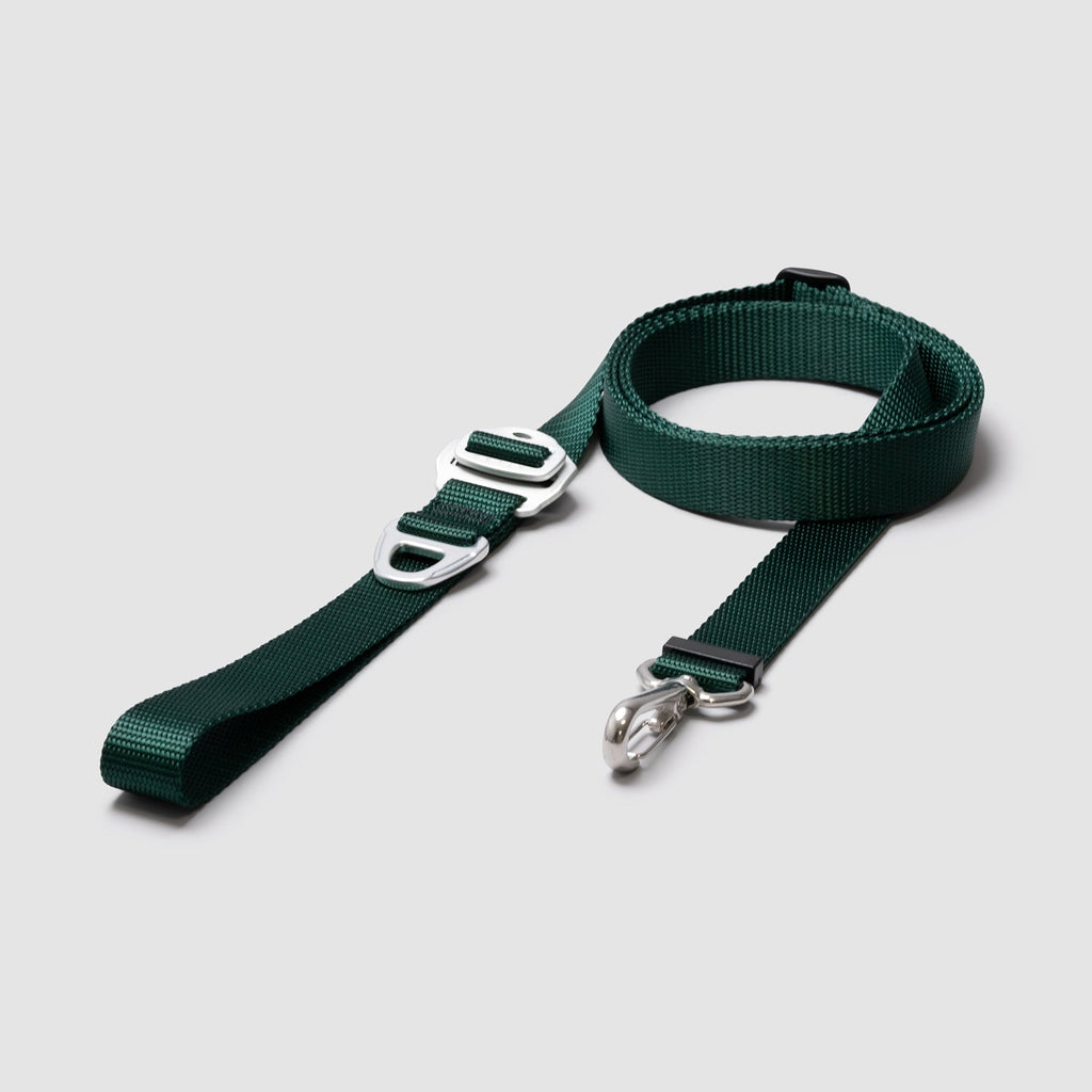Lifetime Lite Leash