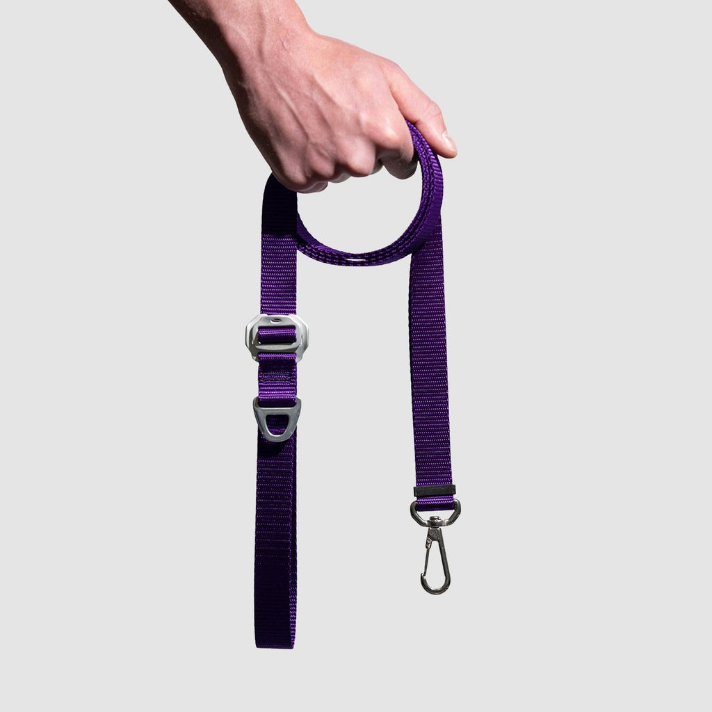 Lifetime Lite Leash