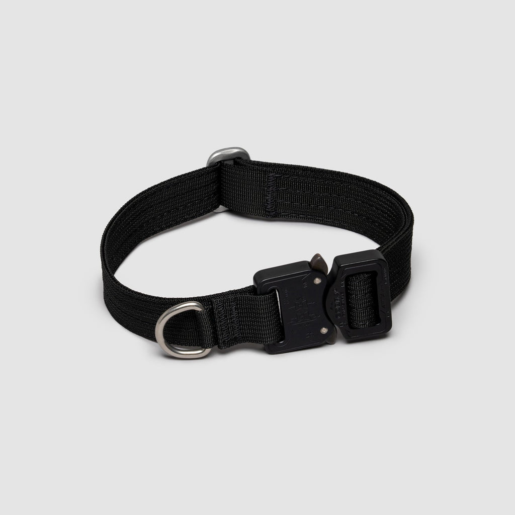 Lifetime Pro Collar