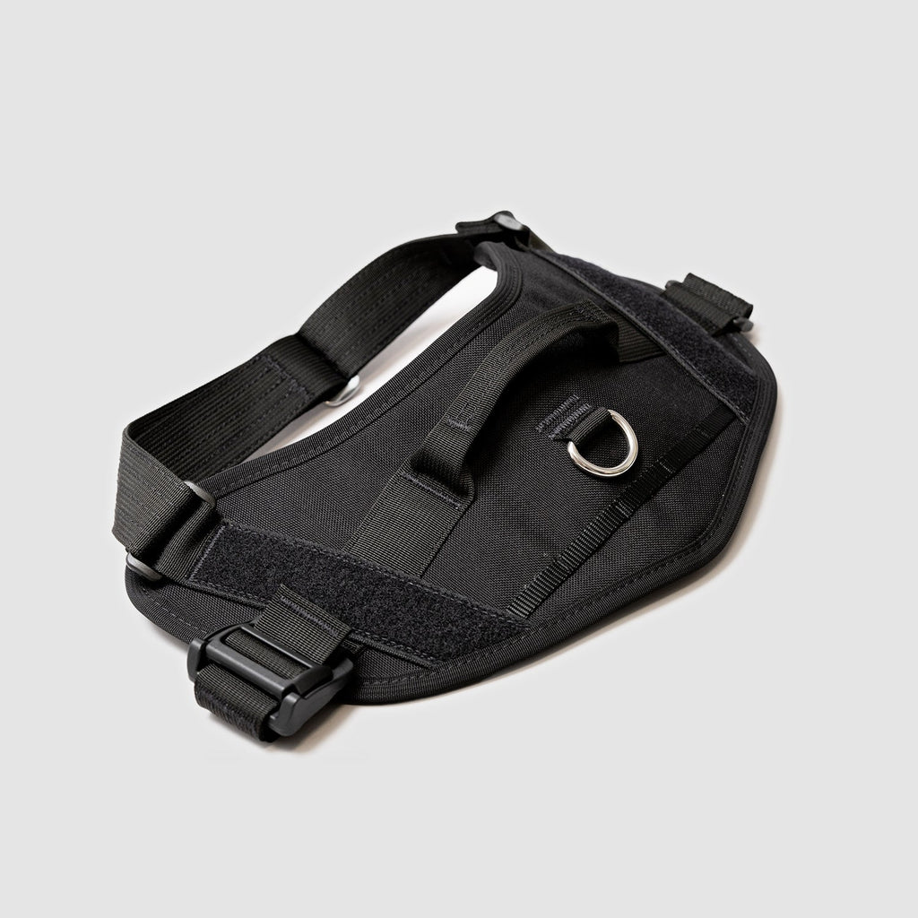 Lifetime Pro Harness