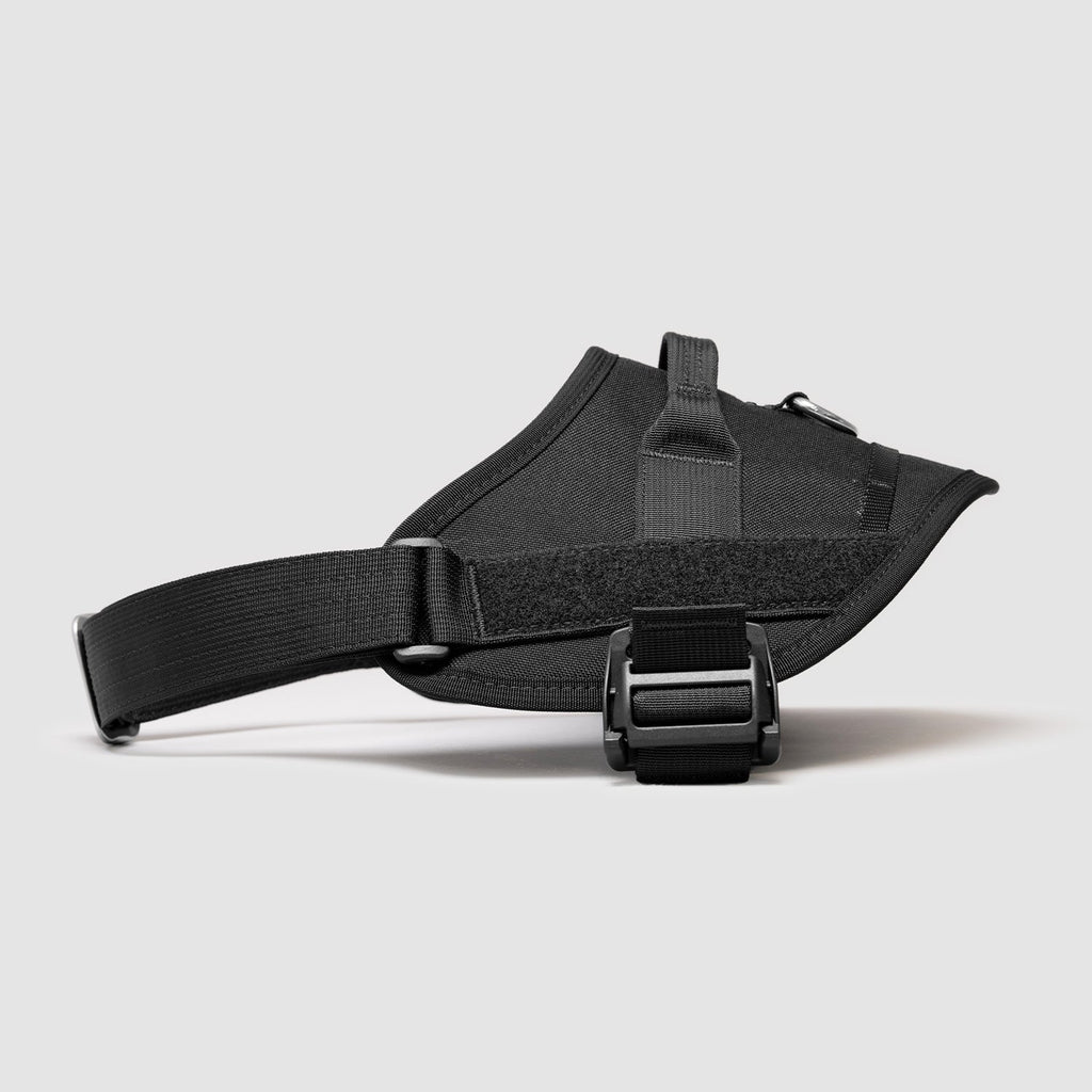 Lifetime Pro Harness