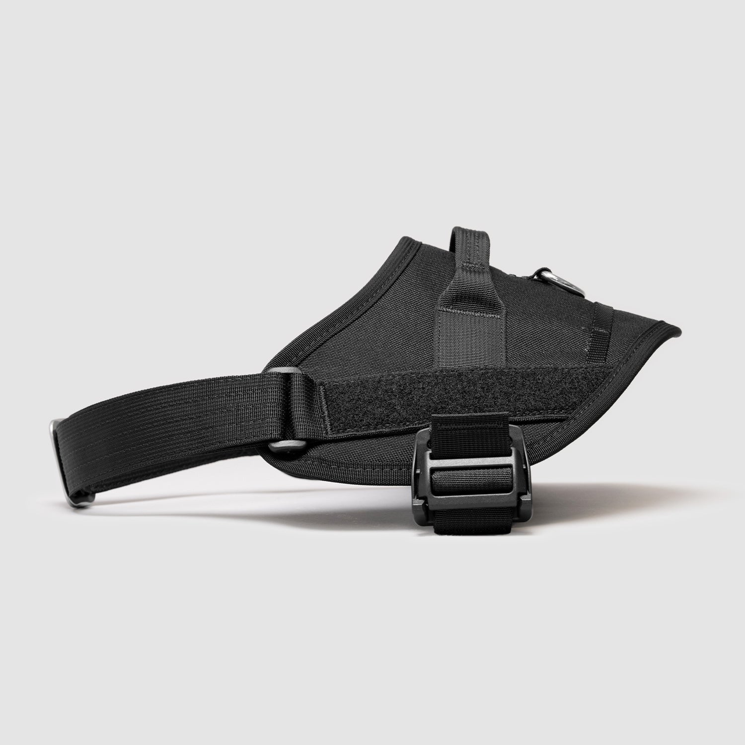 Lifetime Pro Harness