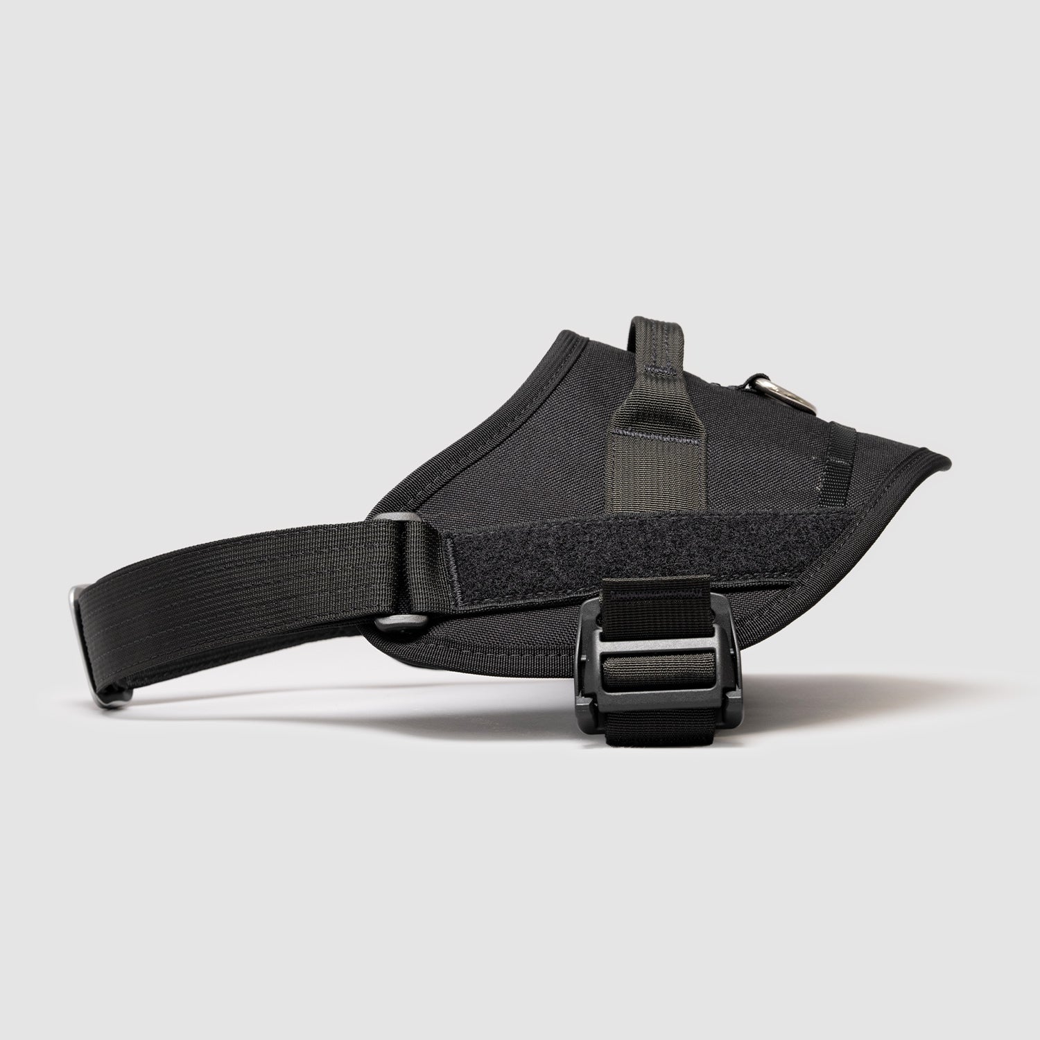 Lifetime Pro Harness