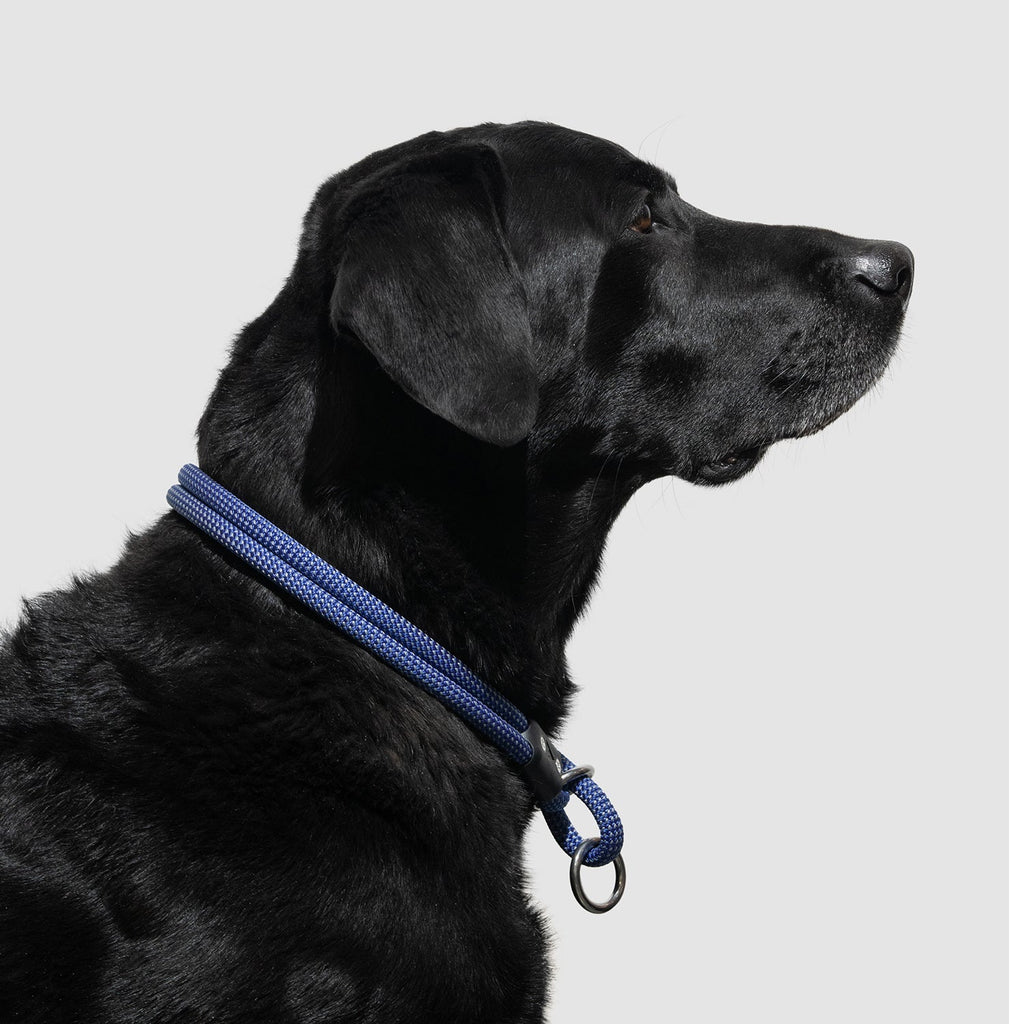 Lifetime Slip Collar