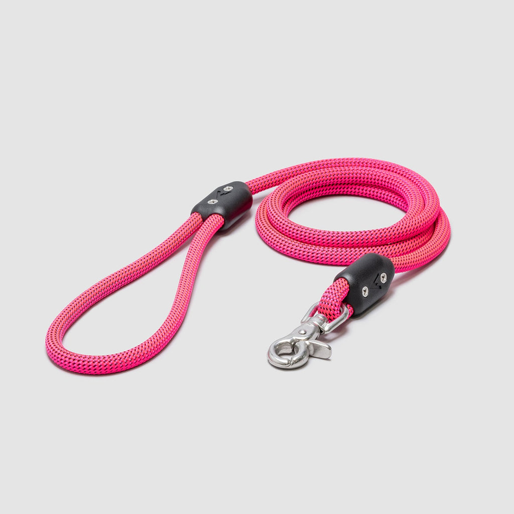 Lifetime Leash - 5 Feet (Kit)