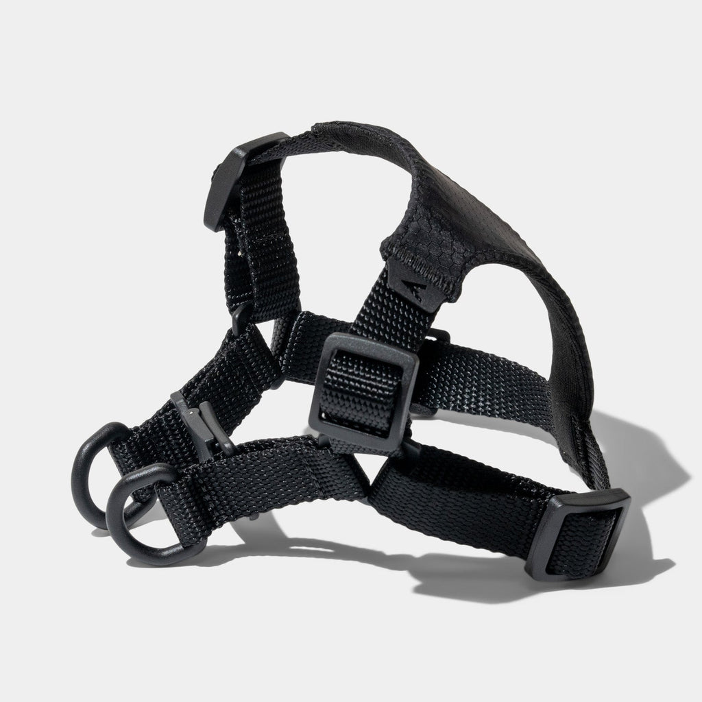 Lifetime Air Harness