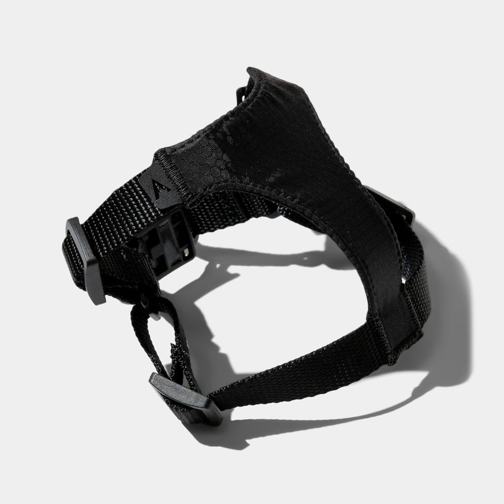 Lifetime Air Harness